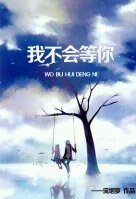 我不会等你