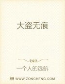 大盗无痕