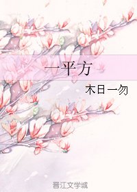 一平方