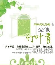 爱像竹叶青