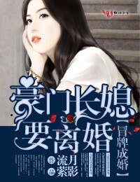 《再嫁婚成,豪门总裁高冷情深/冒牌成婚,豪门长媳要离婚》