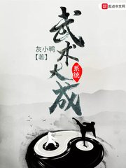 《武术大成系统》