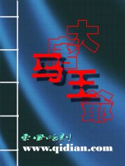 《大唐马王爷》
