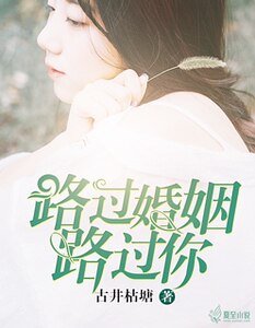 路过婚姻路过你