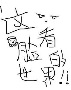 这个看脸的世界