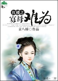 红楼之寡母难为