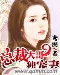 总裁大哥独宠妻