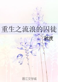 《重生之流浪的囚徒》