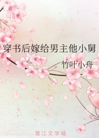 《穿书后嫁给男主他小舅》
