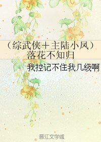 《(综同人)(综武侠+主陆小凤)落花不知归》