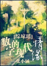 《(综琼瑶同人)数字的现代情缘》