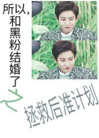 《(韩娱同人)所以,和黑粉结婚了之拯救后准计划》
