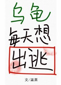 乌龟每天想出逃