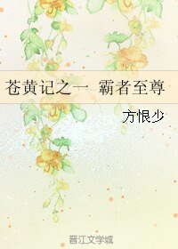 苍黄记之一 霸者至尊
