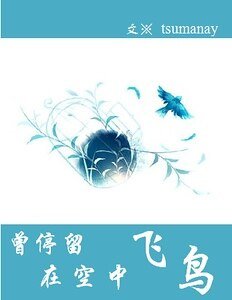 （家教同人）那只曾停留在空中的飞鸟