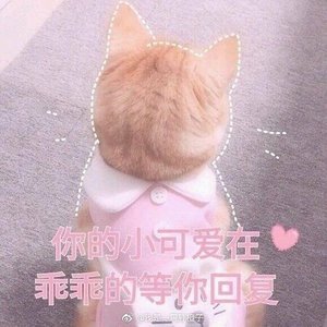 《哥们,帮个忙》