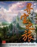《异界寻宝之旅》