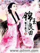 《锦玉良田》
