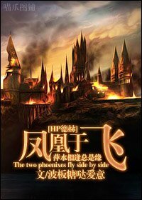 （HP德赫同人） The two phoenixes fly side by side/凤凰于飞
