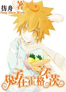 《(HP+家教同人)兔子在霍格沃茨》