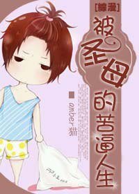 《(综漫同人)被圣母的苦逼人生》