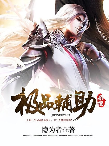 极品辅助系统