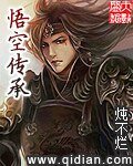 《(西游记同人)悟空传承》