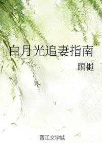 《白月光追妻指南》