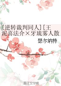 （BL/逆转裁判同人）王泥喜法介×牙琉雾人散文