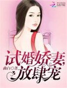 试婚娇妻,放肆宠