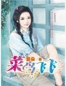 菜鸟飞飞（职场游戏系列一）
