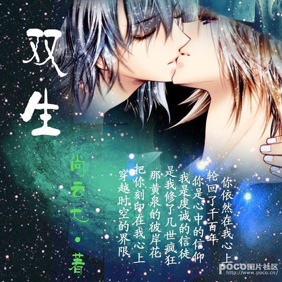 双生（两男人在女尊世界的崩溃生活）