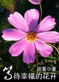 等待幸福的花开