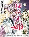 妃咒第一世：猫妖宠姬