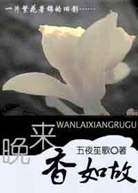 《晚来香如故》