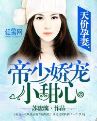 天价孕妻：帝少娇宠小甜心