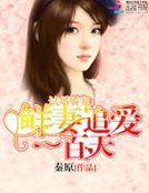 《试婚娇宠:鲜妻追爱100天》