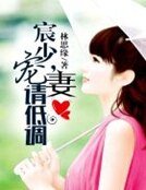 《宸少,宠妻请低调》