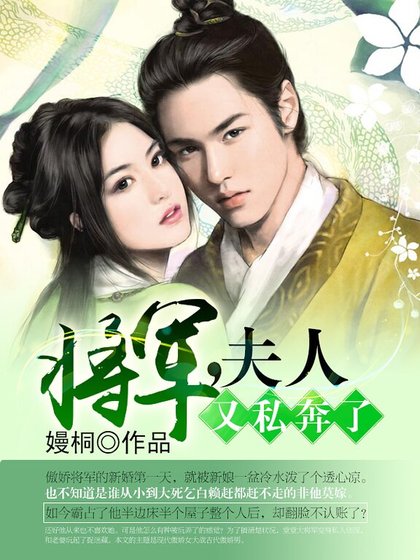 《将军,夫人又私奔了》