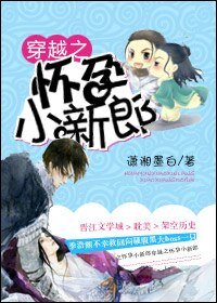穿越之怀孕小新郎/穿越之小新郎