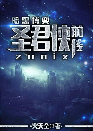 圣君侠前传/圣君侠II 暗黑搏奕