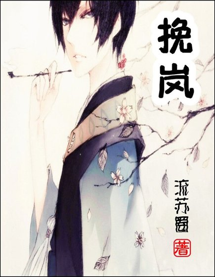 《挽岚》