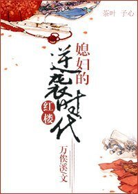 （红楼同人）媳妇的逆袭时代