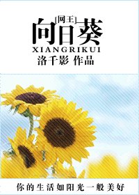 (主网王同人)向日葵