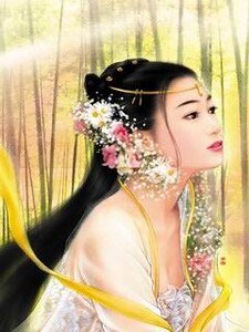 妃奴