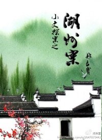 小文探案之湖州案