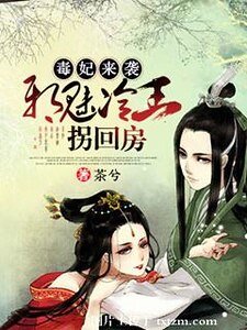 《毒妃来袭:邪魅冷王拐回房》
