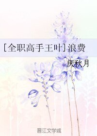 （全职同人）[全职高手王叶]浪费