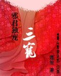 《邪君独宠:三宠》