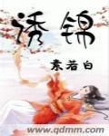 《诱锦》